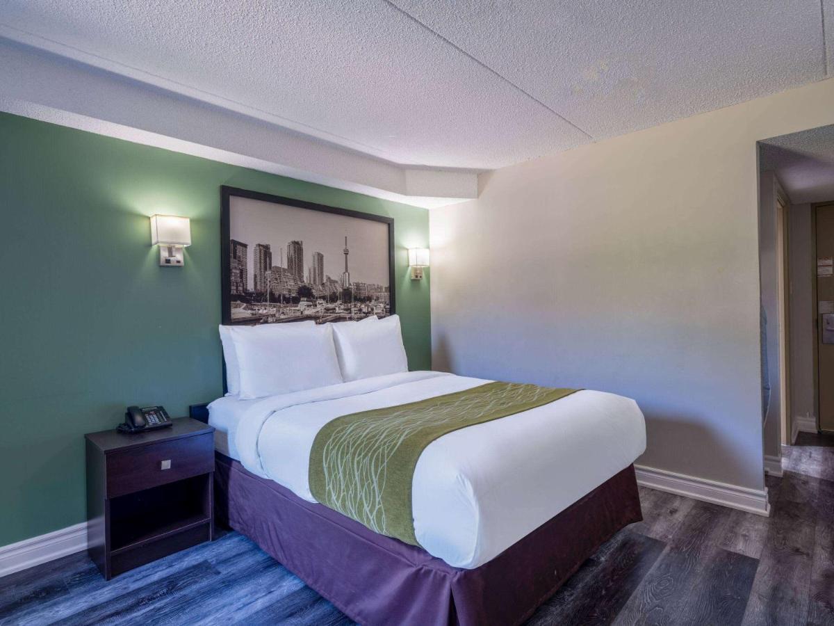 Hotel Super 8 By Wyndham Toronto East On Esterno foto